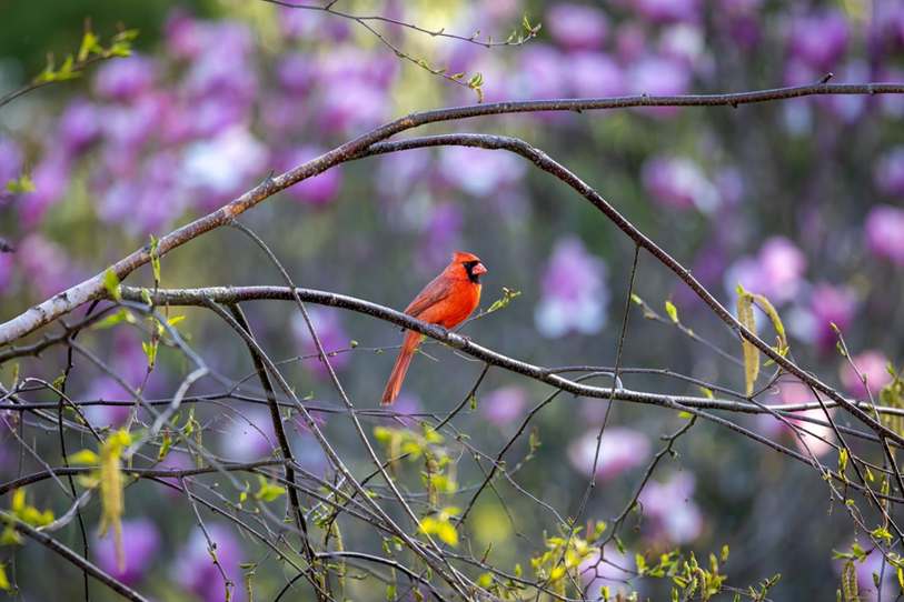 Macka B lança "Still Look Good" celebrando a beleza das mulheres à medida que envelhecem.